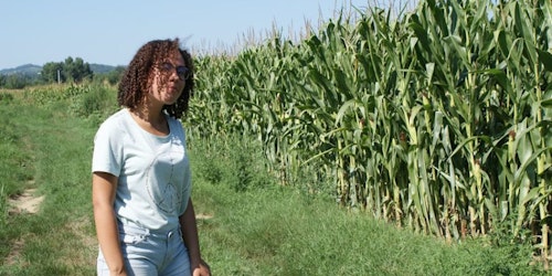 une photo de fille devant avec le champ de maïs