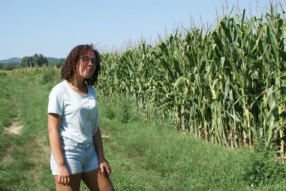a girl picture in front of with the cornfield