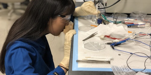 Annie Ma trabalhando num laboratório com o seu jaleco